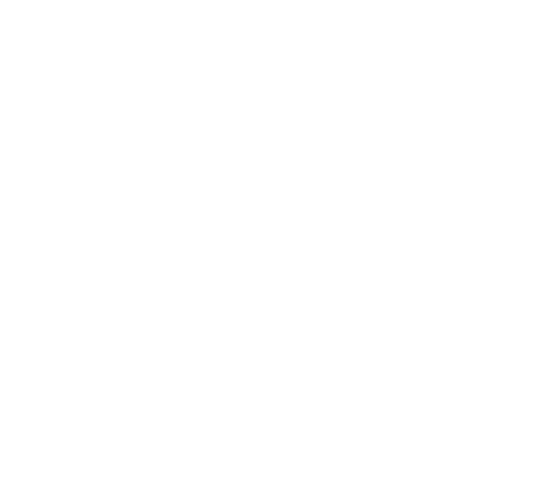 Brain